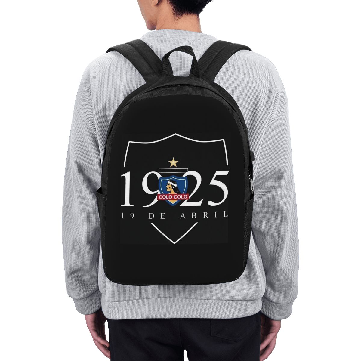CSD COLO COLO 배낭 여행 노트북 가방 컴퓨터 - Women Bags Laptop 리뷰 및 가격